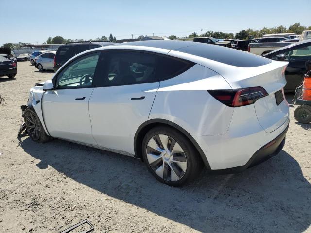 Photo 1 VIN: 5YJYGDEEXMF096088 - TESLA MODEL Y 