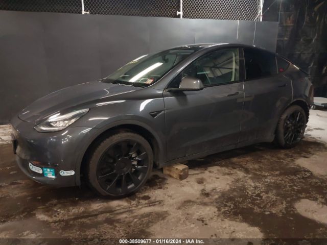 Photo 1 VIN: 5YJYGDEEXMF118235 - TESLA MODEL Y 