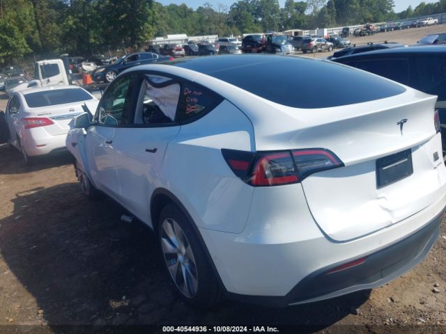 Photo 2 VIN: 5YJYGDEEXMF174854 - TESLA MODEL Y 