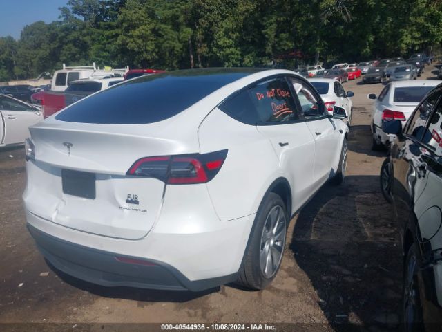 Photo 3 VIN: 5YJYGDEEXMF174854 - TESLA MODEL Y 