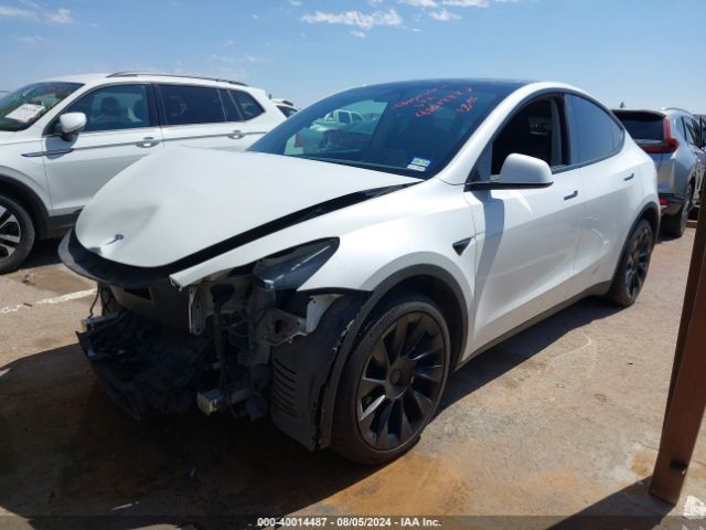 Photo 1 VIN: 5YJYGDEEXMF186406 - TESLA MODEL Y 