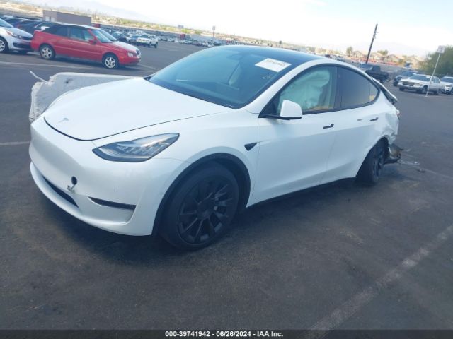 Photo 1 VIN: 5YJYGDEEXMF186521 - TESLA MODEL Y 