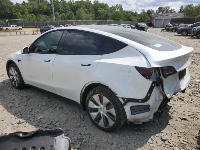 Photo 1 VIN: 5YJYGDEEXMF200224 - TESLA MODEL Y 