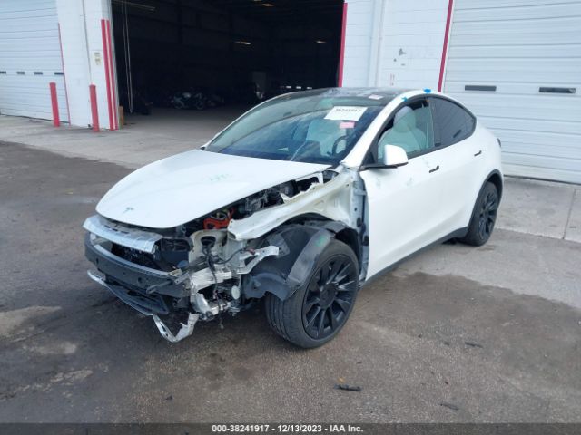 Photo 1 VIN: 5YJYGDEEXMF201714 - TESLA MODEL Y 