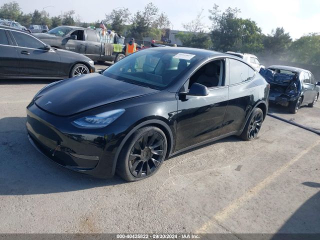 Photo 1 VIN: 5YJYGDEEXMF208467 - TESLA MODEL Y 