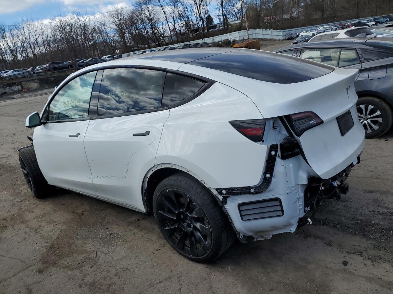 Photo 1 VIN: 5YJYGDEEXMF225107 - TESLA MODEL Y 