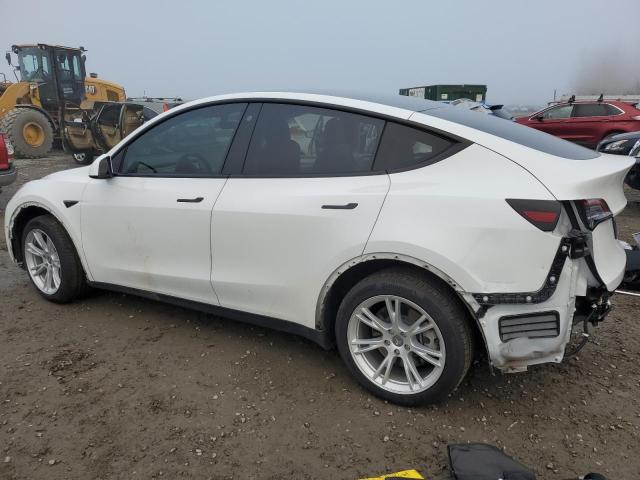 Photo 1 VIN: 5YJYGDEEXMF229528 - TESLA MODEL Y 