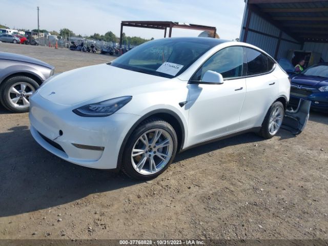 Photo 1 VIN: 5YJYGDEEXMF231599 - TESLA MODEL Y 