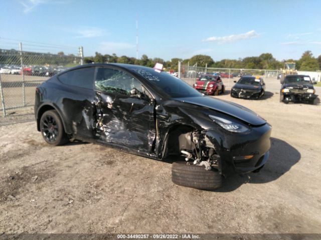 Photo 0 VIN: 5YJYGDEEXMF247026 - TESLA MODEL Y 