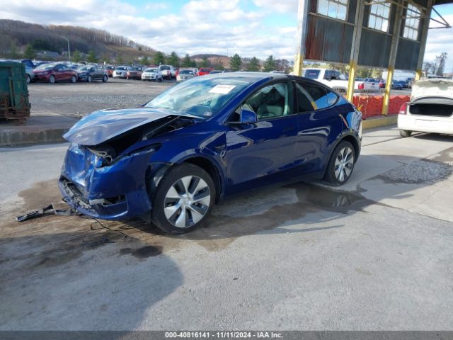 Photo 1 VIN: 5YJYGDEEXMF251609 - TESLA MODEL Y 