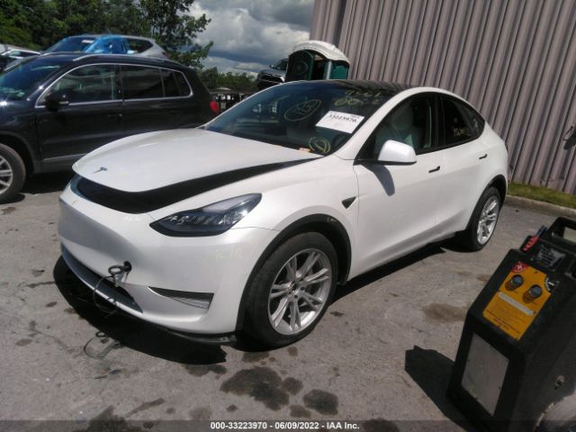 Photo 1 VIN: 5YJYGDEEXMF258429 - TESLA MODEL Y 