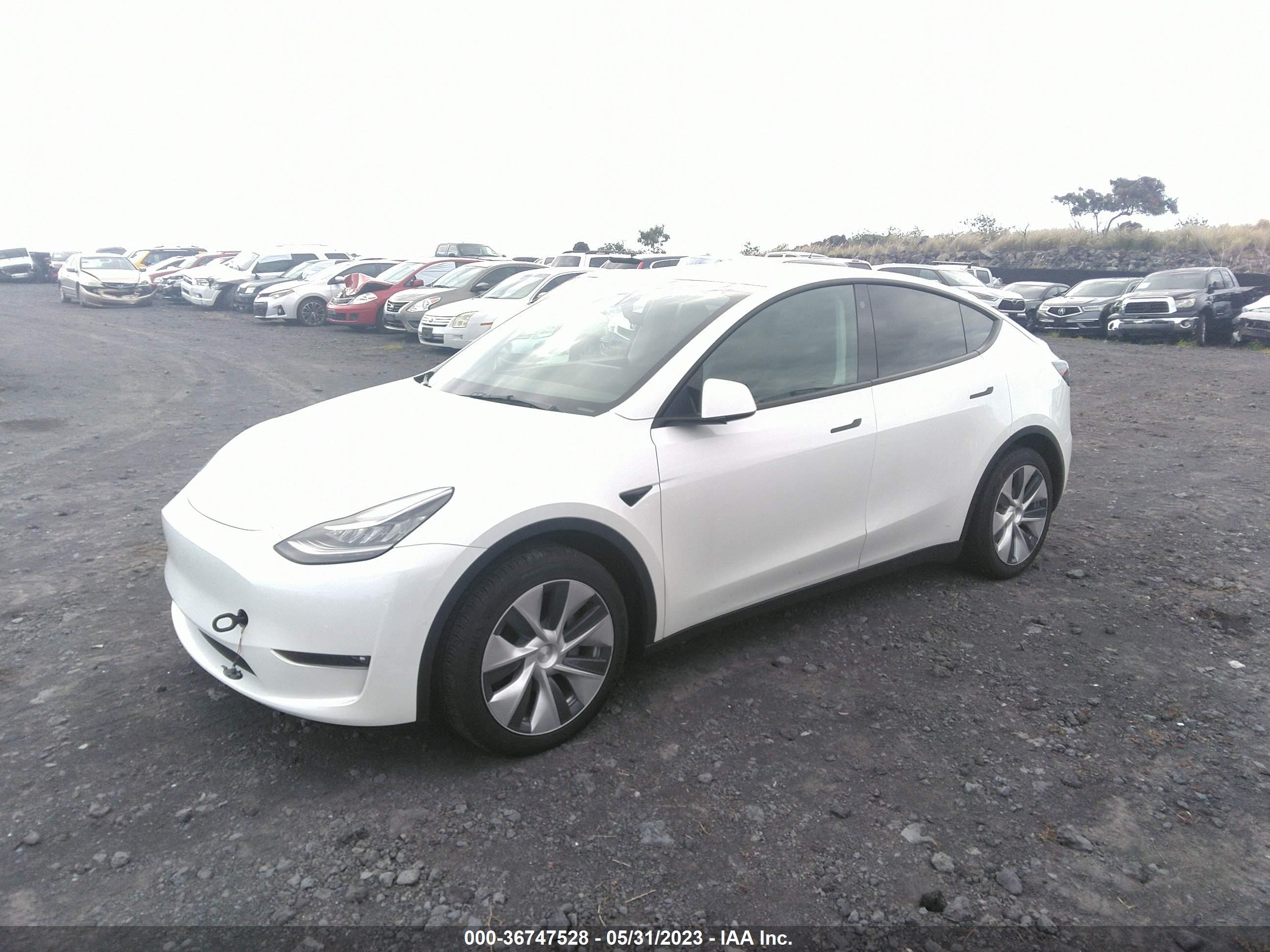 Photo 1 VIN: 5YJYGDEEXMF264246 - TESLA MODEL Y 