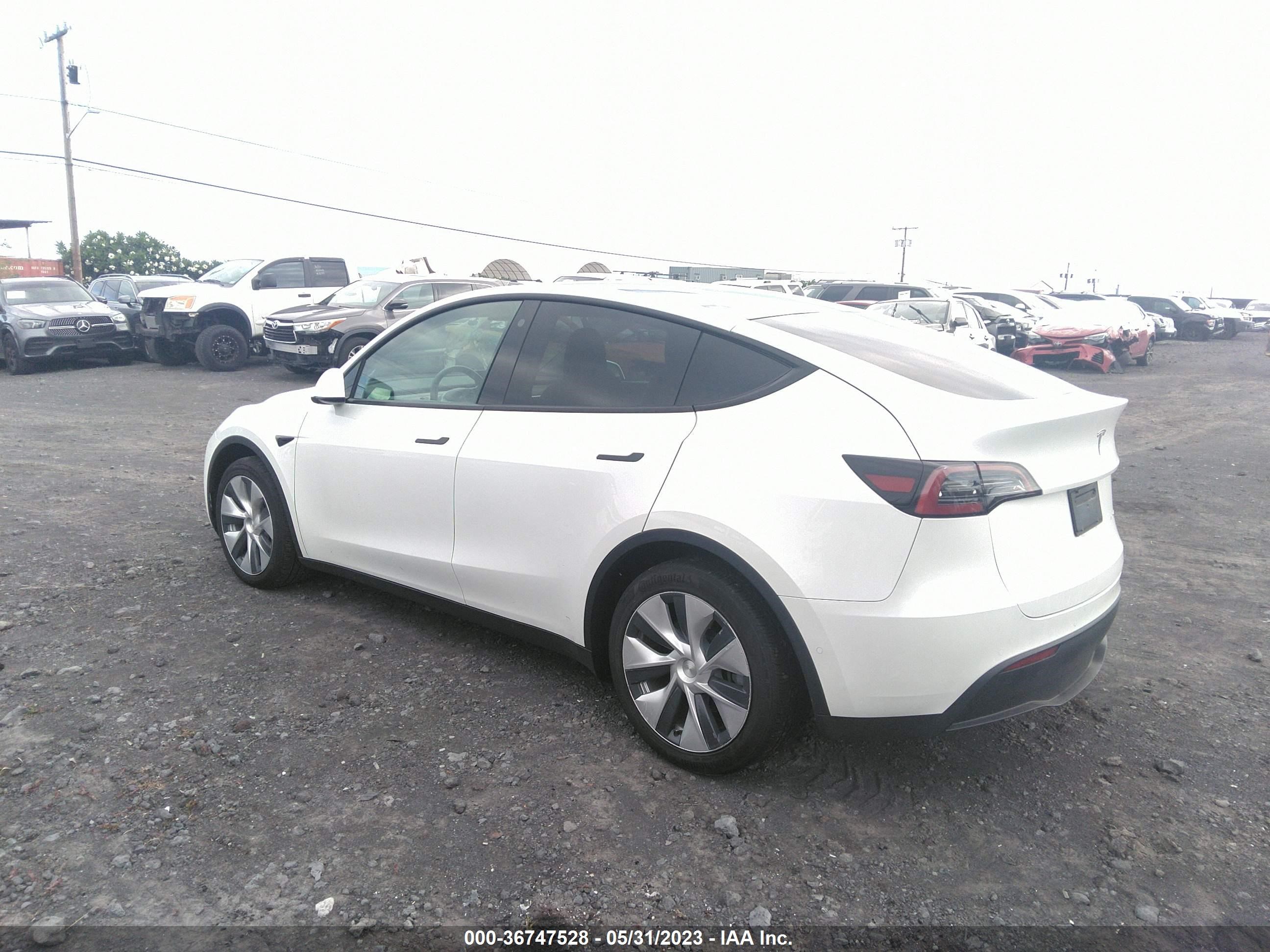 Photo 2 VIN: 5YJYGDEEXMF264246 - TESLA MODEL Y 