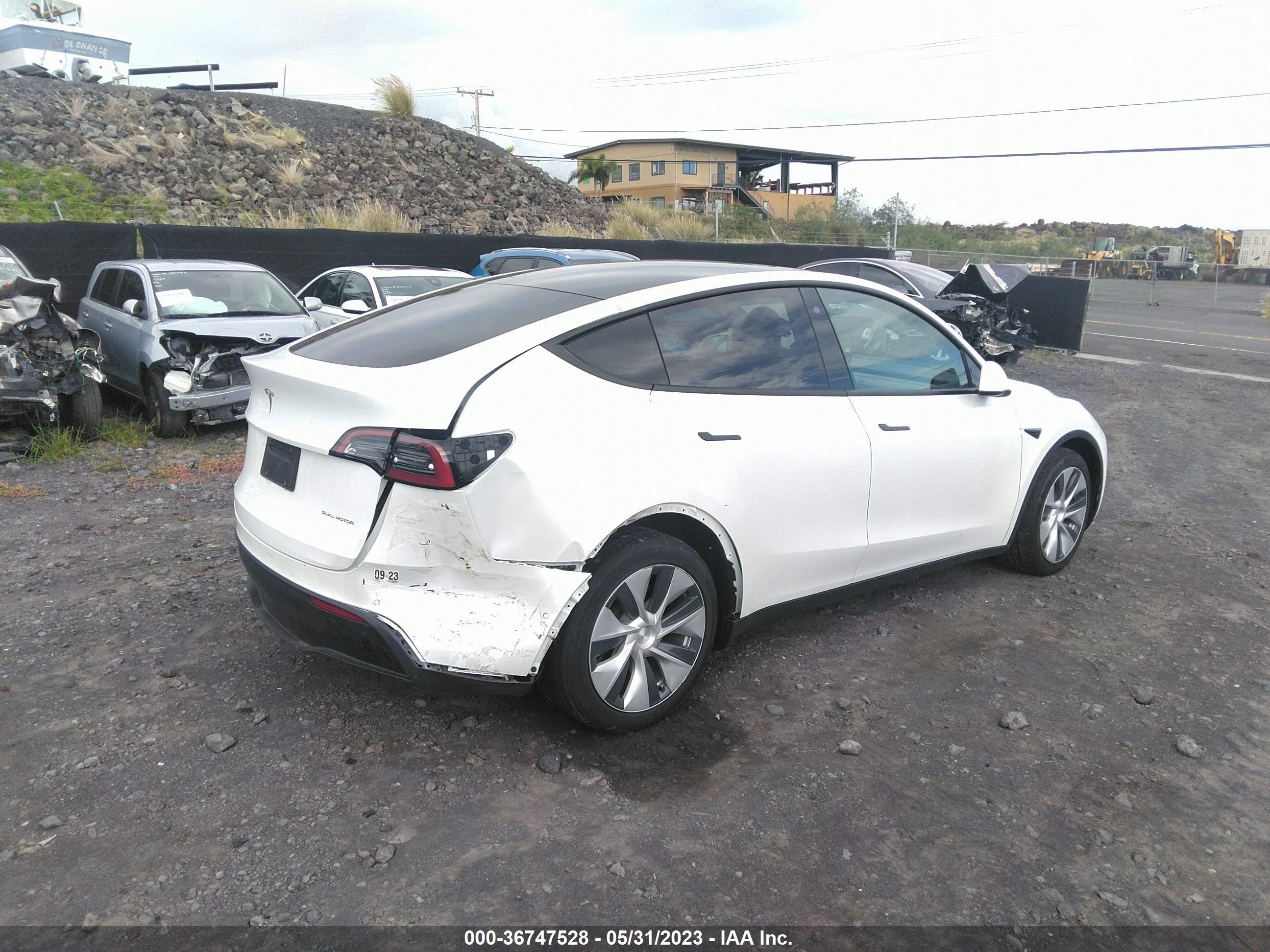 Photo 3 VIN: 5YJYGDEEXMF264246 - TESLA MODEL Y 