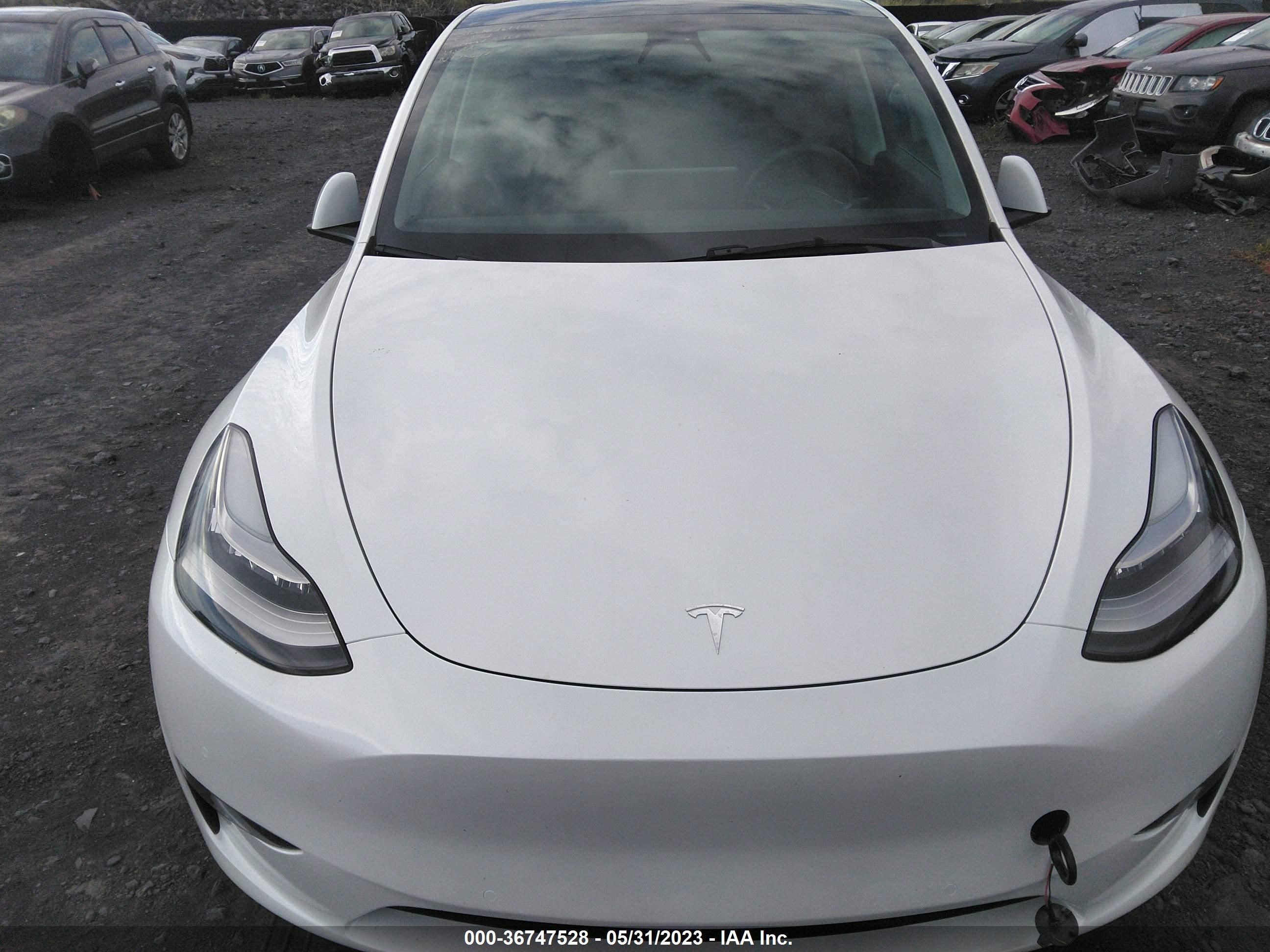 Photo 9 VIN: 5YJYGDEEXMF264246 - TESLA MODEL Y 