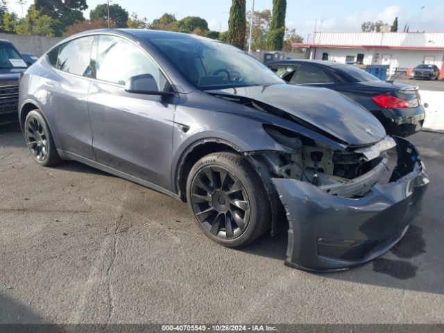 Photo 0 VIN: 5YJYGDEEXMF283136 - TESLA MODEL Y 