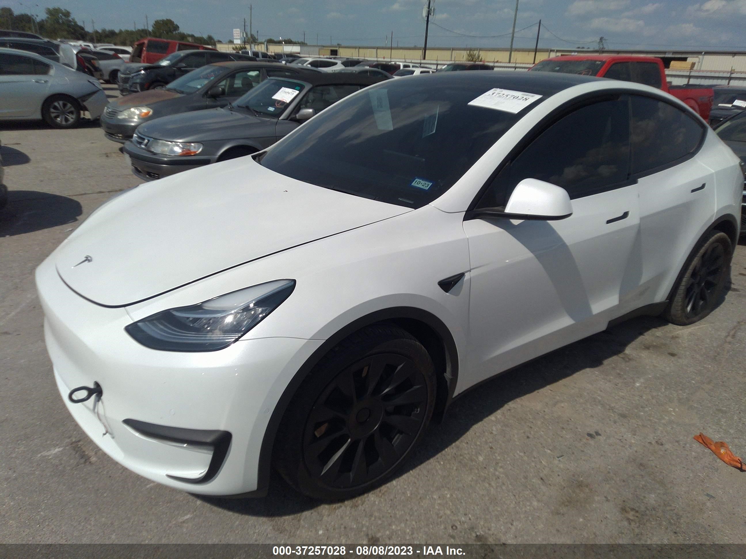 Photo 1 VIN: 5YJYGDEEXMF296579 - TESLA MODEL Y 