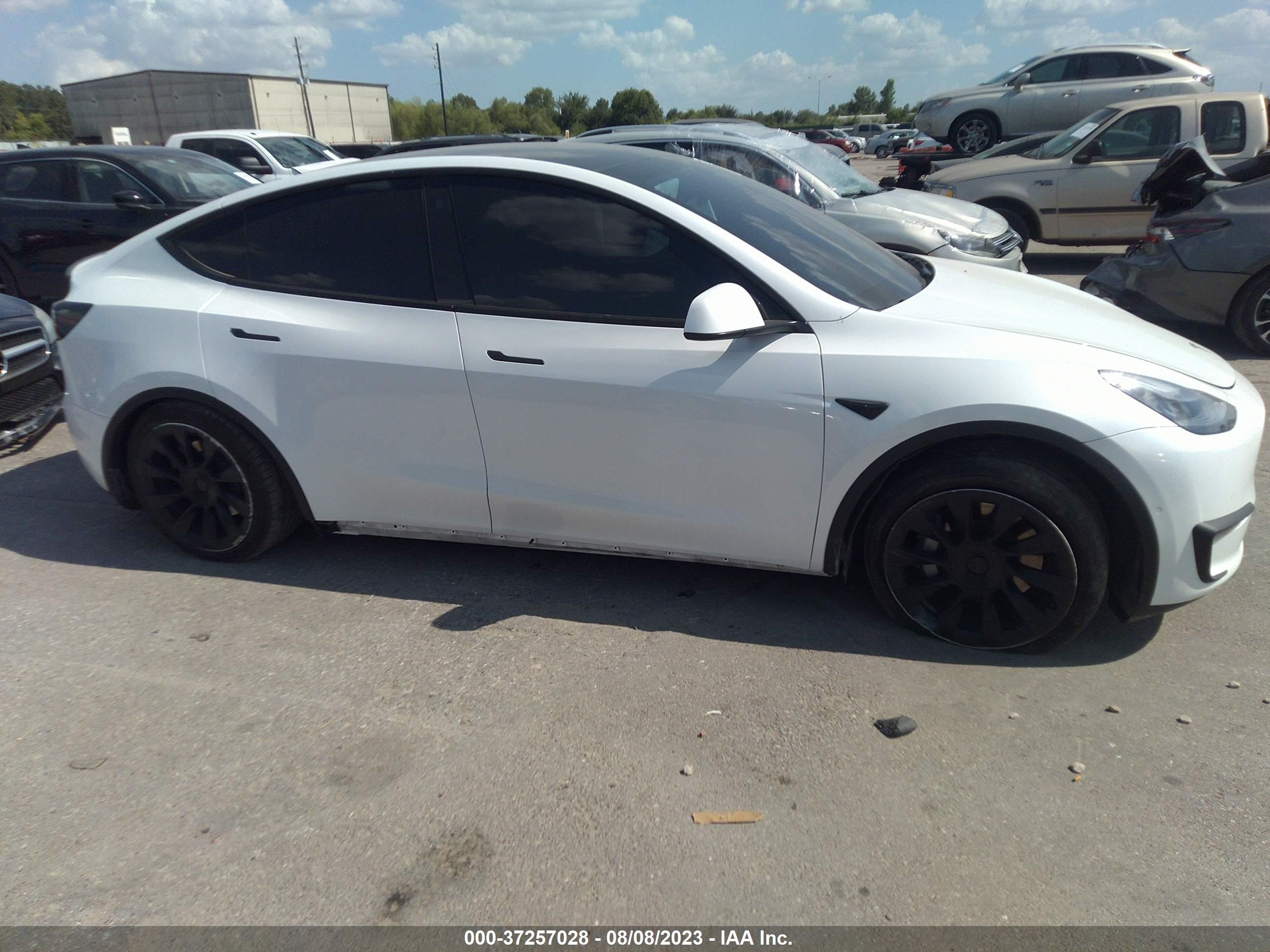 Photo 11 VIN: 5YJYGDEEXMF296579 - TESLA MODEL Y 