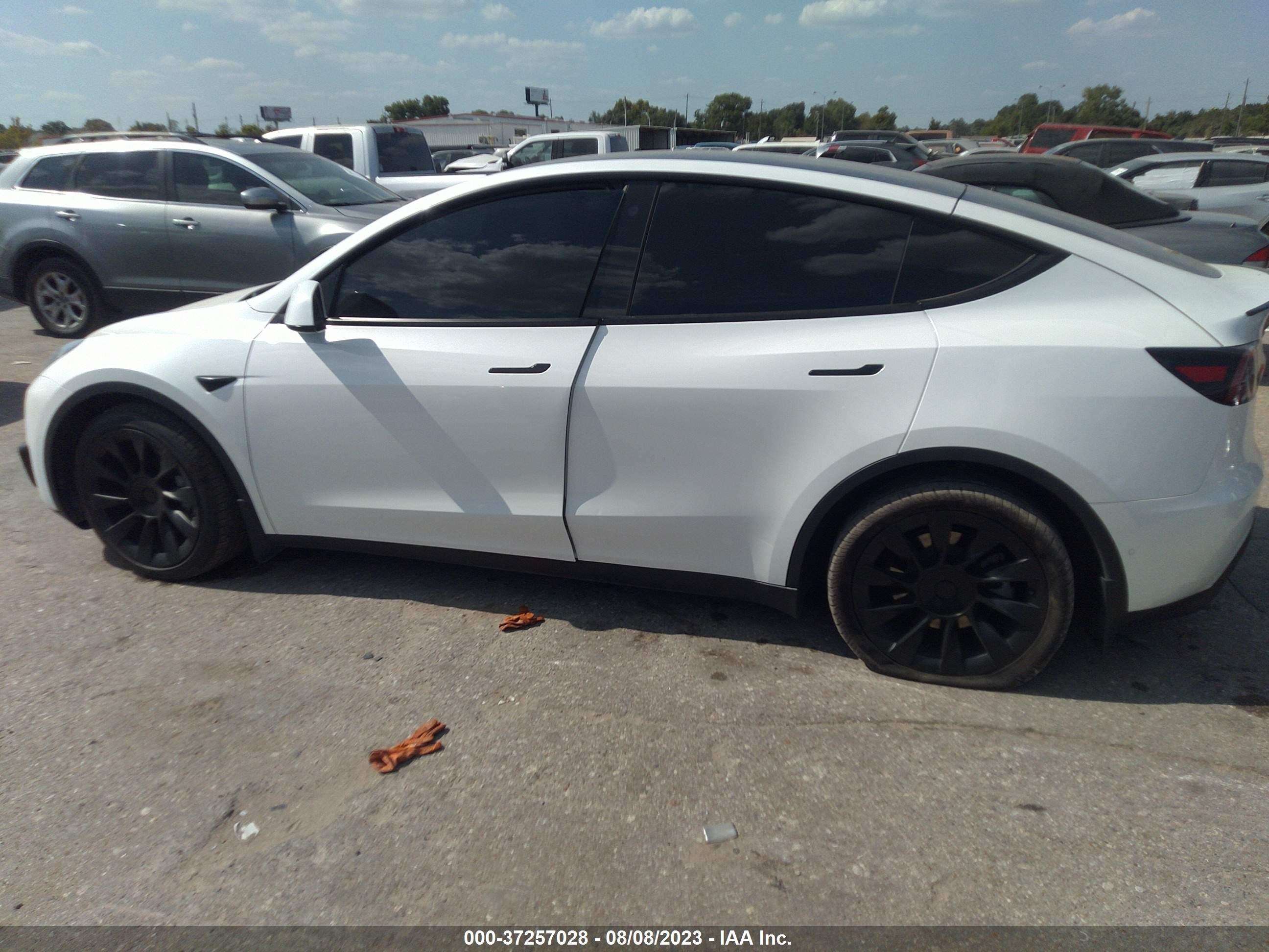 Photo 12 VIN: 5YJYGDEEXMF296579 - TESLA MODEL Y 