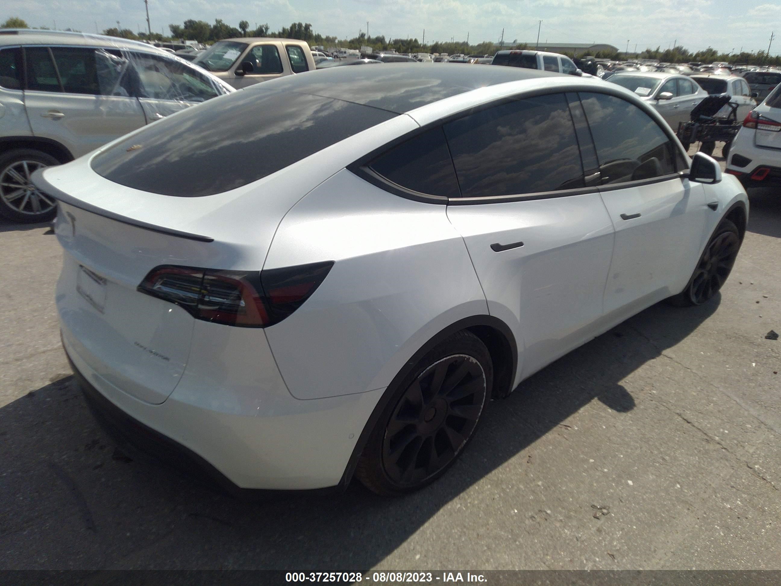 Photo 3 VIN: 5YJYGDEEXMF296579 - TESLA MODEL Y 