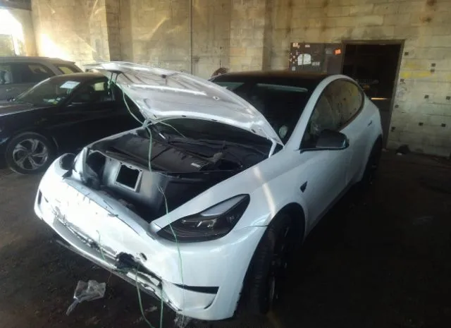 Photo 1 VIN: 5YJYGDEF0MF240241 - TESLA MODEL Y 