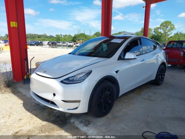 Photo 1 VIN: 5YJYGDEF1LF002896 - TESLA MODEL Y 