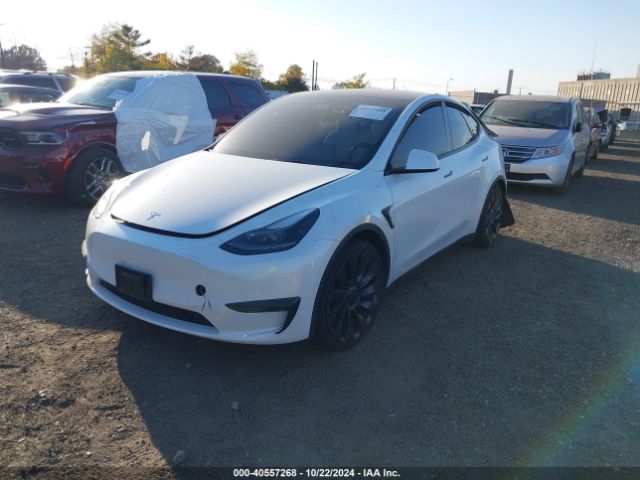 Photo 1 VIN: 5YJYGDEF1MF209421 - TESLA MODEL Y 