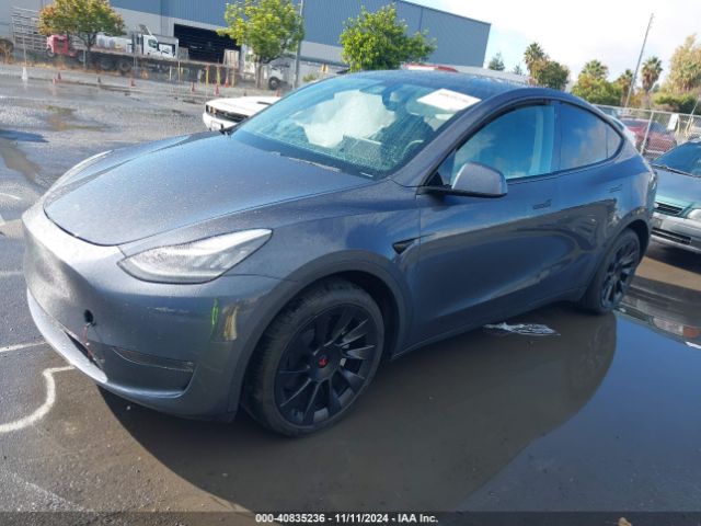 Photo 1 VIN: 5YJYGDEF3LF000616 - TESLA MODEL Y 