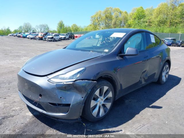 Photo 1 VIN: 5YJYGDEF3LF011860 - TESLA MODEL Y 