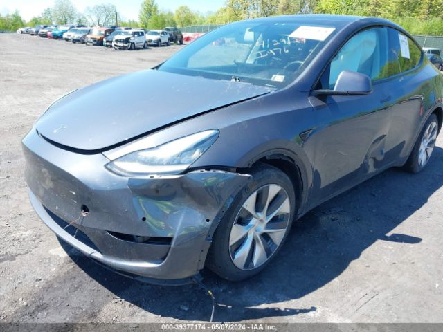 Photo 5 VIN: 5YJYGDEF3LF011860 - TESLA MODEL Y 