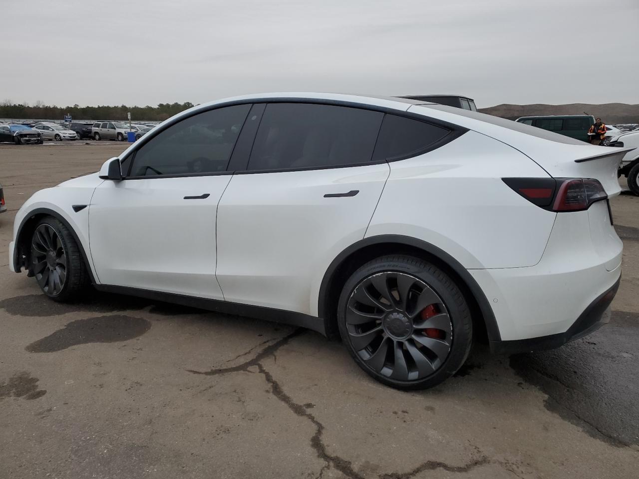 Photo 1 VIN: 5YJYGDEF3LF018629 - TESLA MODEL Y 