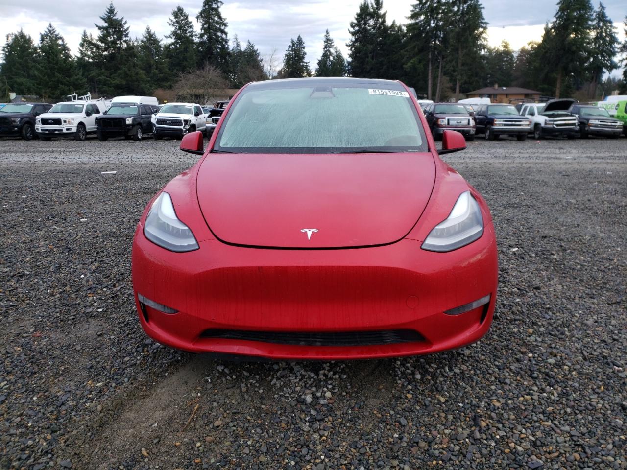 Photo 4 VIN: 5YJYGDEF3MF211798 - TESLA MODEL Y 