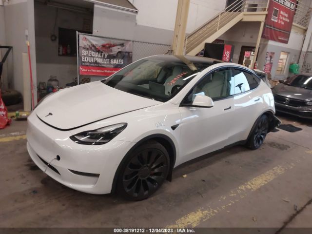 Photo 1 VIN: 5YJYGDEF3MF252125 - TESLA MODEL Y 