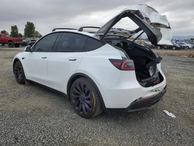 Photo 1 VIN: 5YJYGDEF3MF267059 - TESLA MODEL Y 