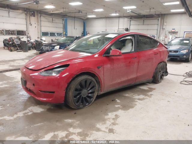 Photo 1 VIN: 5YJYGDEF3MF271273 - TESLA MODEL Y 