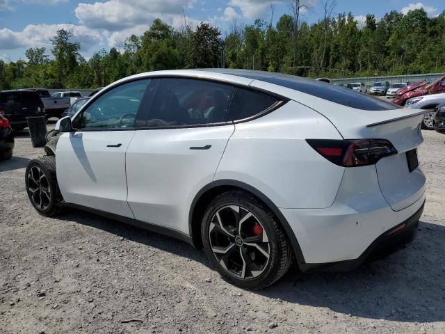 Photo 1 VIN: 5YJYGDEF4LF014833 - TESLA MODEL Y 