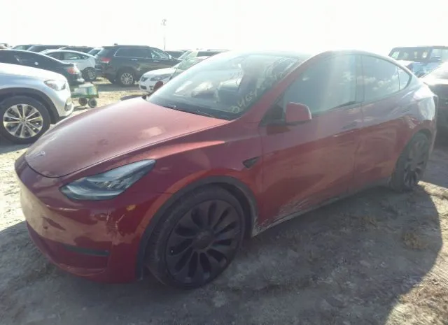 Photo 1 VIN: 5YJYGDEF4MF072930 - TESLA MODEL Y 