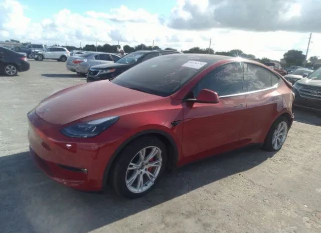 Photo 1 VIN: 5YJYGDEF4MF194722 - TESLA MODEL Y 