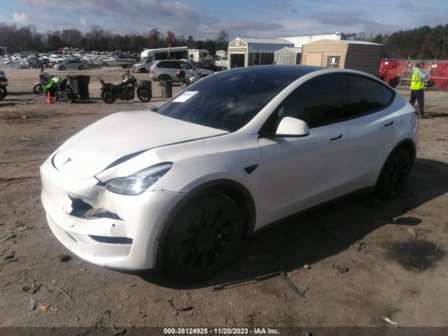 Photo 1 VIN: 5YJYGDEF5LF002836 - TESLA MODEL Y 