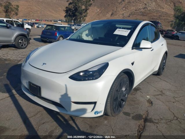 Photo 1 VIN: 5YJYGDEF5MF230479 - TESLA MODEL Y 