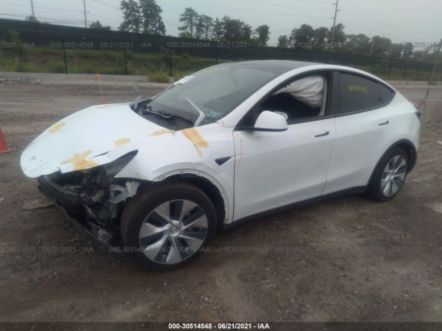 Photo 1 VIN: 5YJYGDEF6LF006071 - TESLA MODEL Y 