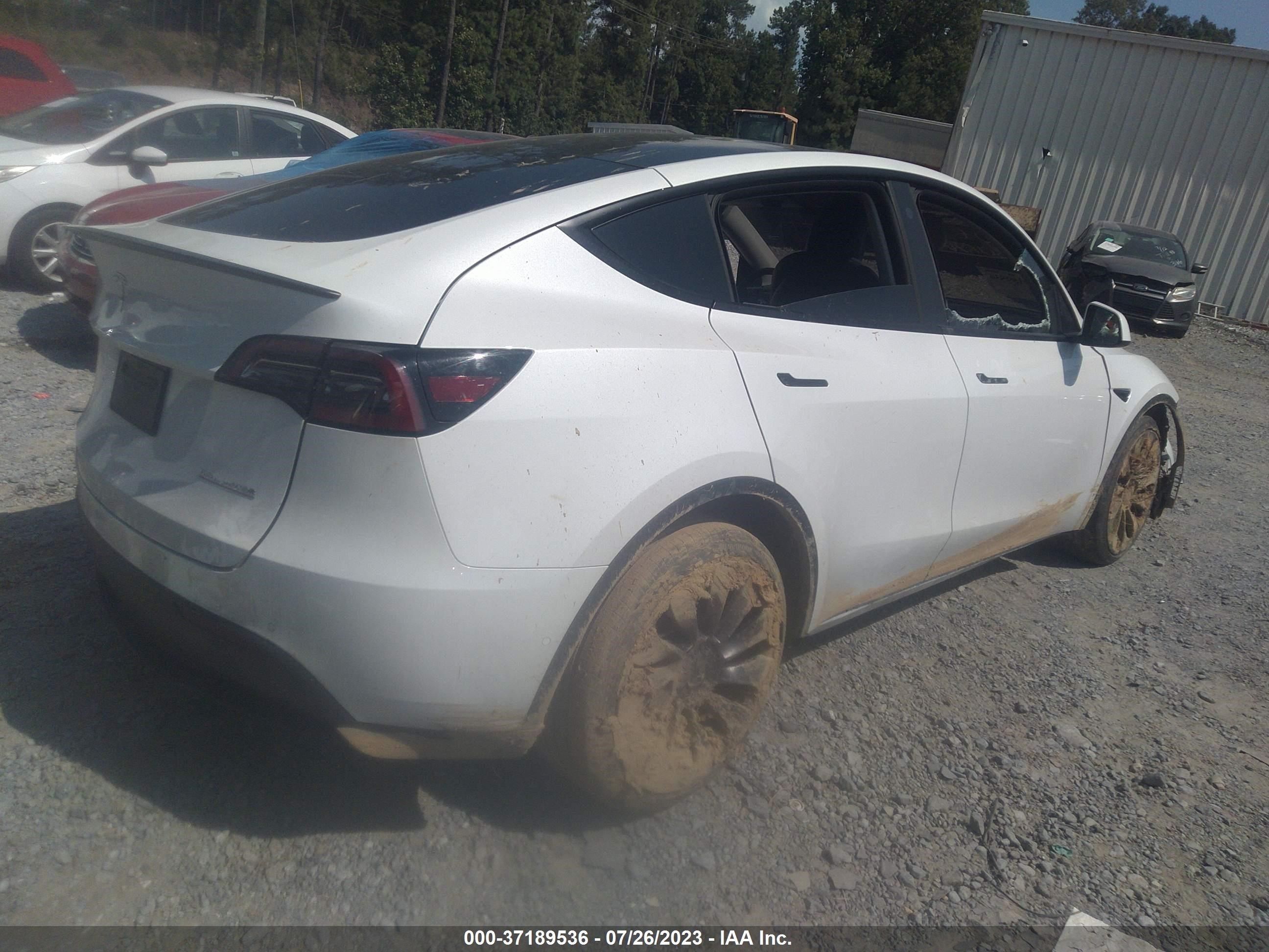 Photo 3 VIN: 5YJYGDEF6MF197234 - TESLA MODEL Y 