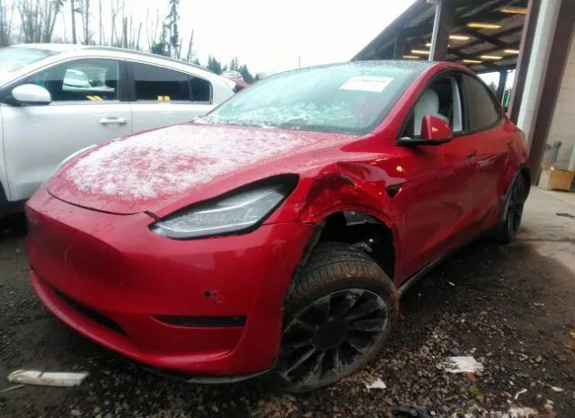 Photo 1 VIN: 5YJYGDEF7LF037698 - TESLA MODEL Y 