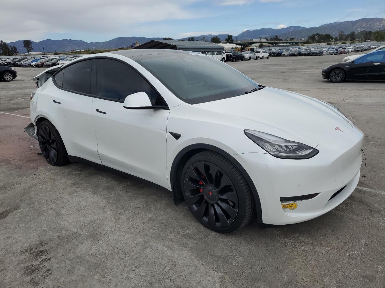 Photo 3 VIN: 5YJYGDEF8LF057300 - TESLA MODEL Y 