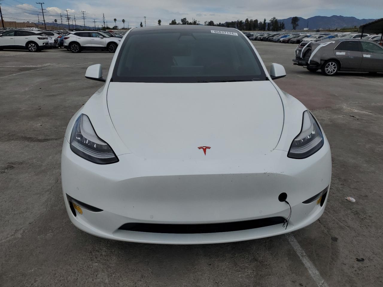 Photo 4 VIN: 5YJYGDEF8LF057300 - TESLA MODEL Y 