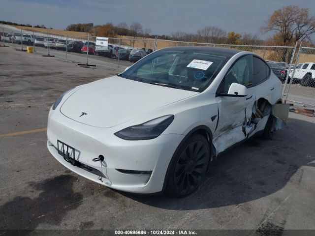 Photo 1 VIN: 5YJYGDEF8MF303912 - TESLA MODEL Y 