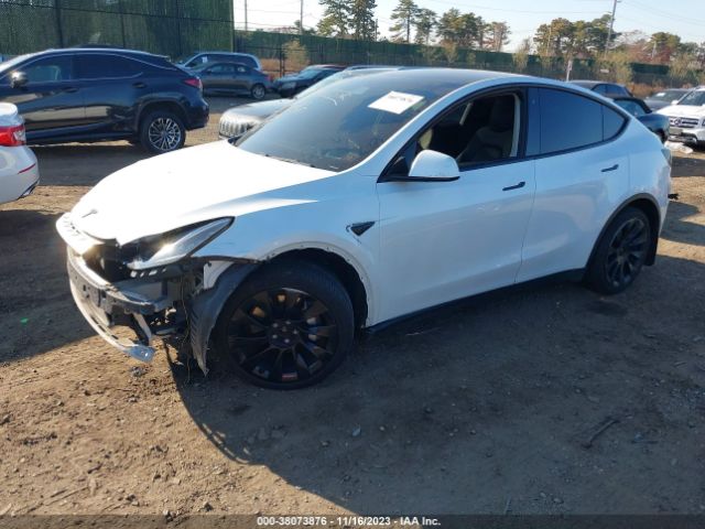 Photo 1 VIN: 5YJYGDEF9LF002869 - TESLA MODEL Y 