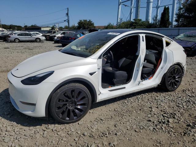 Photo 0 VIN: 5YJYGDEFXMF256754 - TESLA MODEL Y 