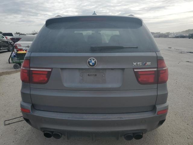 Photo 5 VIN: 5YMGY0C55D0C11953 - BMW X5 M 