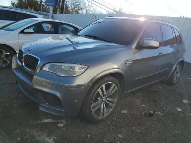 Photo 0 VIN: 5YMGY0C56D0C11850 - BMW X5 